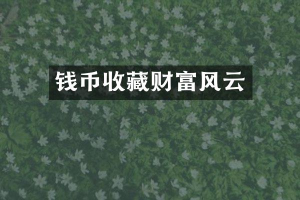 钱币收藏财富风云