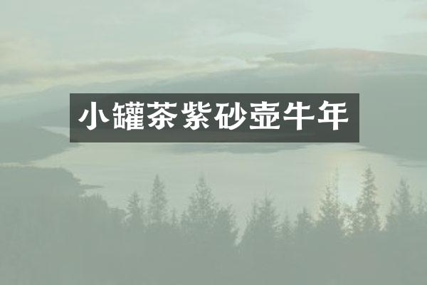 小罐茶紫砂壶牛年