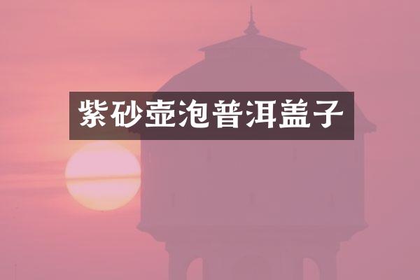 紫砂壶泡普洱盖子