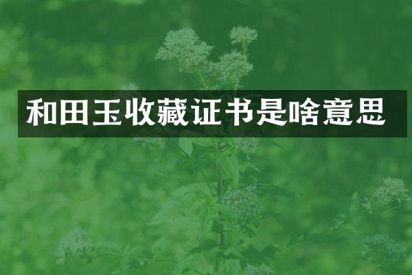 和田玉收藏证书是啥意思