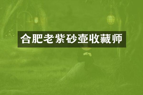 合肥老紫砂壶收藏师
