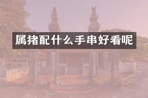 属猪手串好看呢