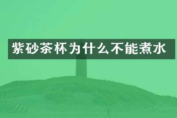 紫砂茶杯为什么不能煮水