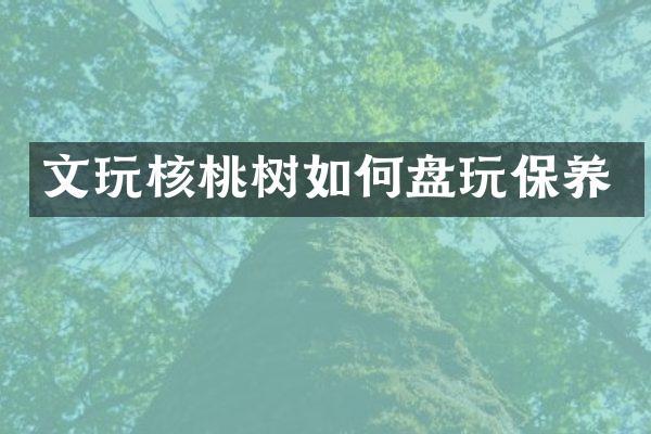 文玩核桃树如何盘玩保养