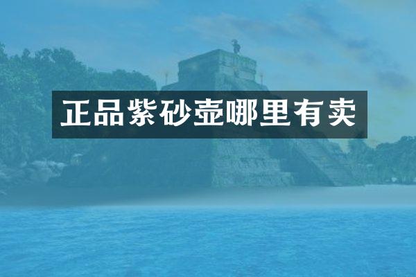 正品紫砂壶哪里有卖