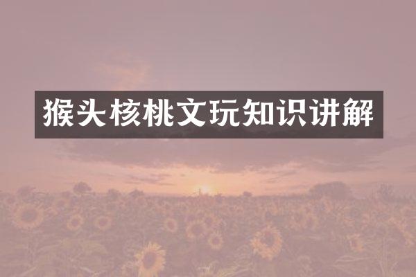 猴头核桃文玩知识讲解