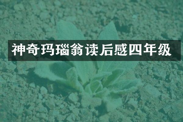 神奇玛瑙翁读后感四年级