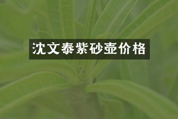 沈文泰紫砂壶价格
