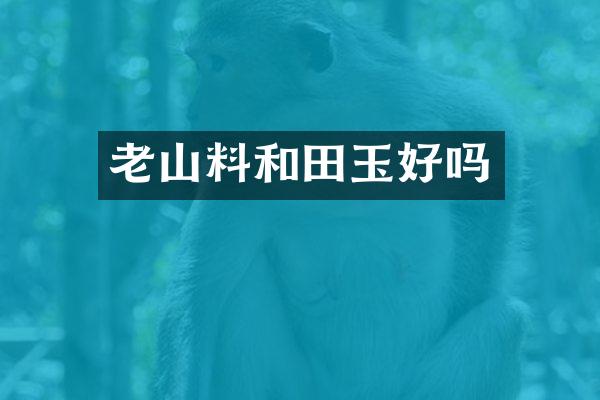 老山料和田玉好吗