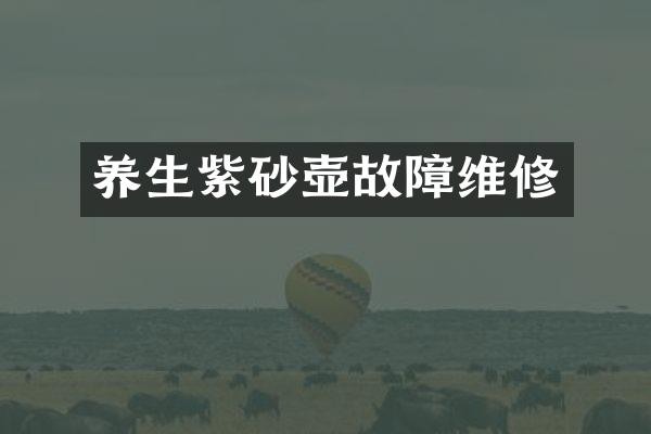 养生紫砂壶故障维修