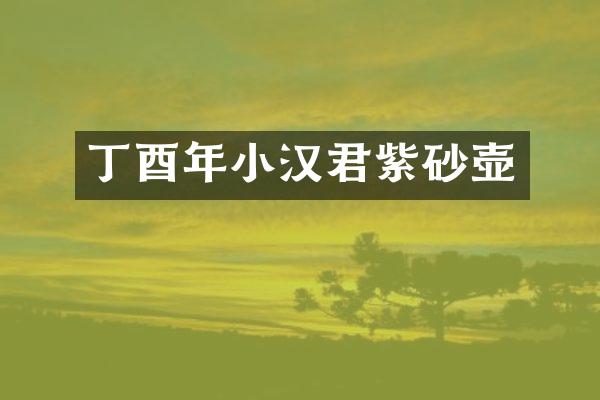 丁酉年小汉君紫砂壶