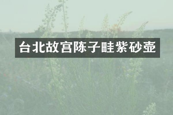 台北故宫陈子畦紫砂壶