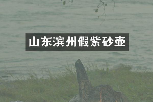 山东滨州假紫砂壶