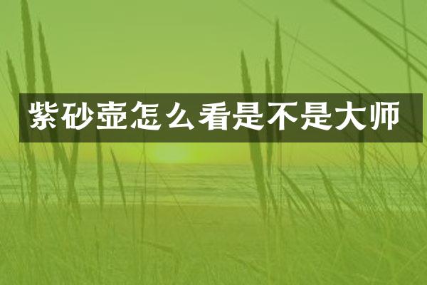 紫砂壶怎么看是不是大师