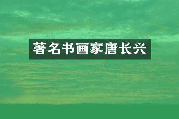著名书画家唐长兴