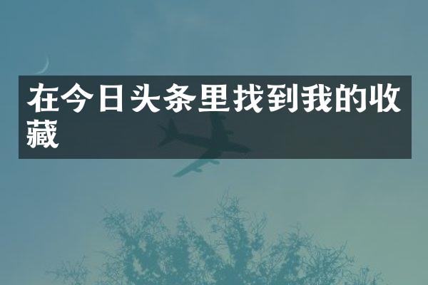 在今日头条里找到我的收藏