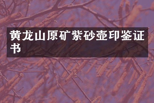 黄龙山原矿紫砂壶印鉴证书