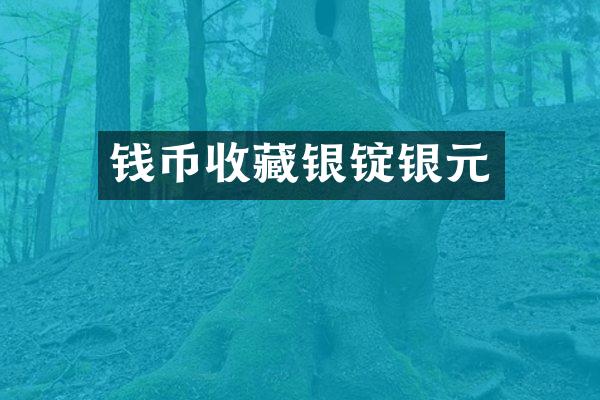 钱币收藏银锭银元
