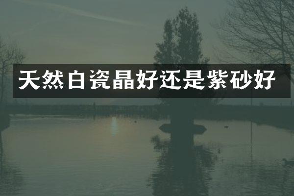 天然白瓷晶好还是紫砂好