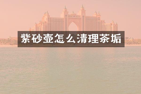 紫砂壶怎么清理茶垢