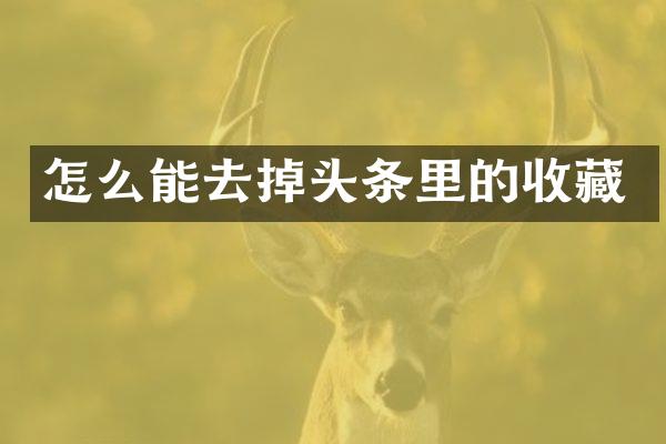 怎么能去掉头条里的收藏