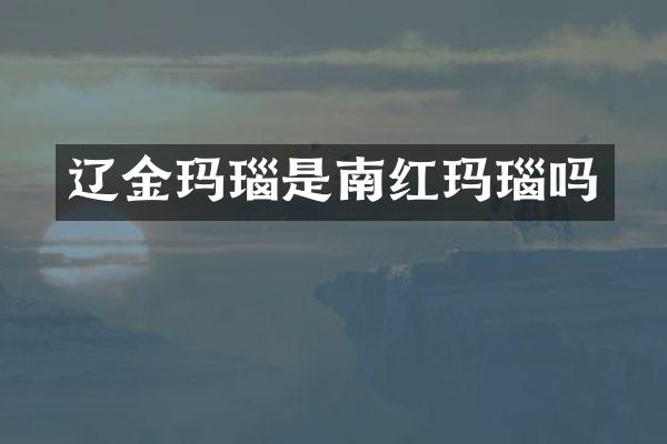 辽金玛瑙是南红玛瑙吗