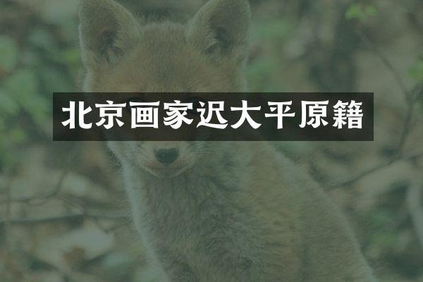 北京画家迟大平原籍