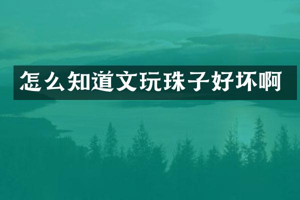 怎么知道文玩珠子好坏啊