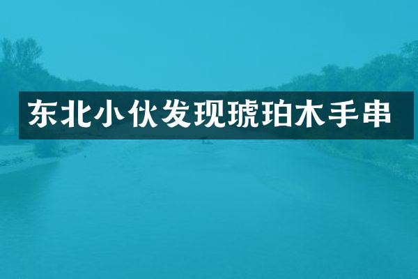 东北小伙发现琥珀木手串