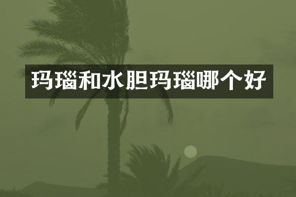 玛瑙和水胆玛瑙哪个好