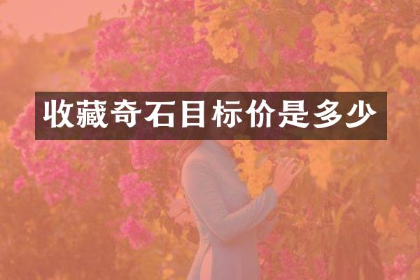 收藏奇石目标价是多少