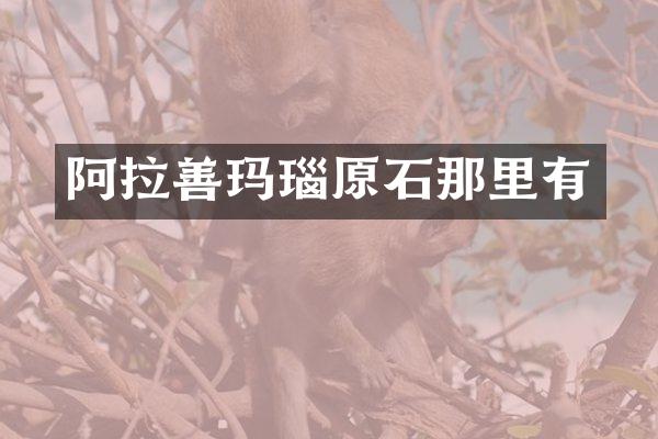 阿拉善玛瑙原石那里有