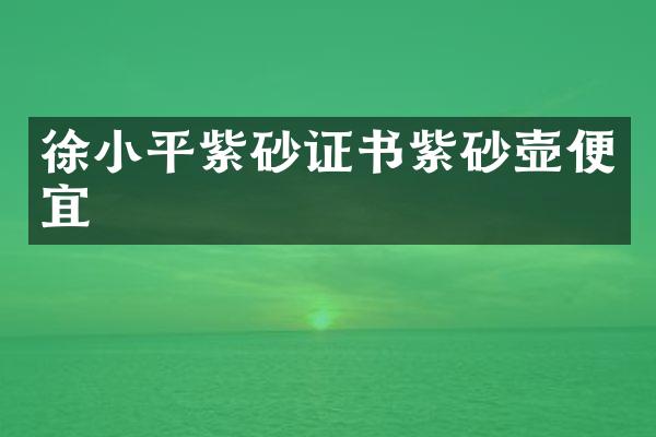 徐小平紫砂证书紫砂壶便宜