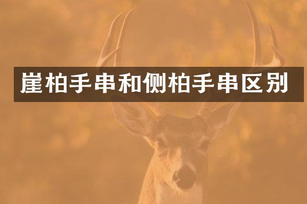 崖柏手串和侧柏手串区别