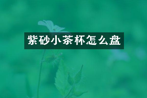 紫砂小茶杯怎么盘