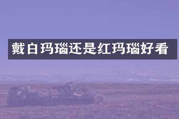 戴白玛瑙还是红玛瑙好看