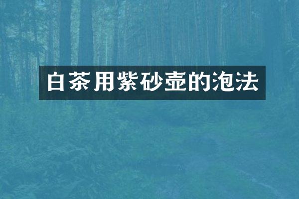 白茶用紫砂壶的泡法