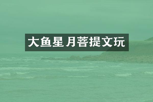 大鱼星月菩提文玩