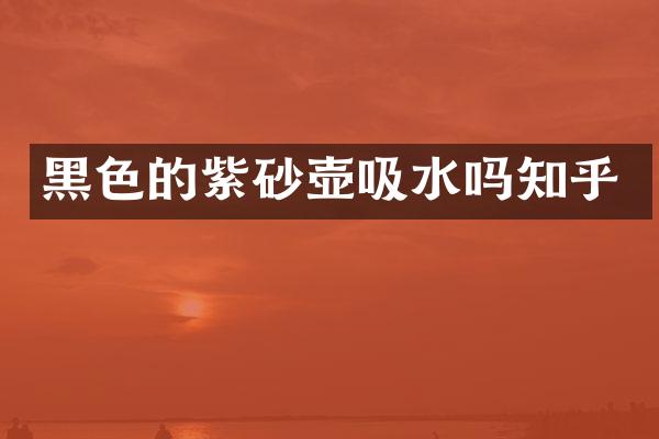 黑色的紫砂壶吸水吗知乎