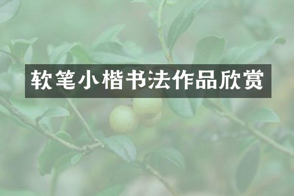 软笔小楷书法作品欣赏