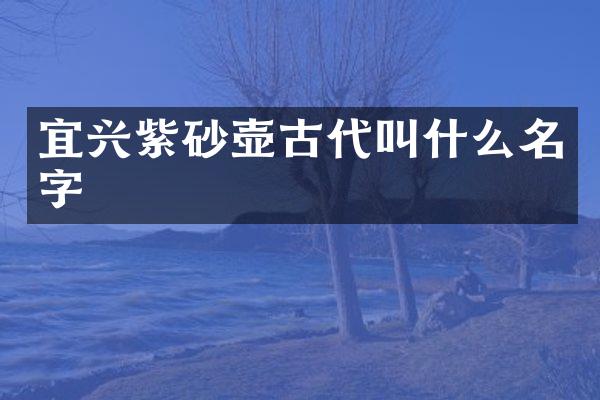 宜兴紫砂壶古代叫什么名字