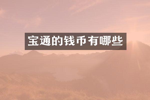 宝通的钱币有哪些