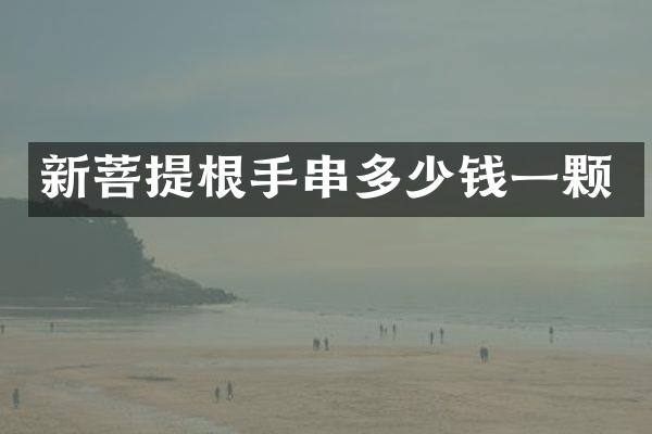 新菩提根手串多少钱一颗