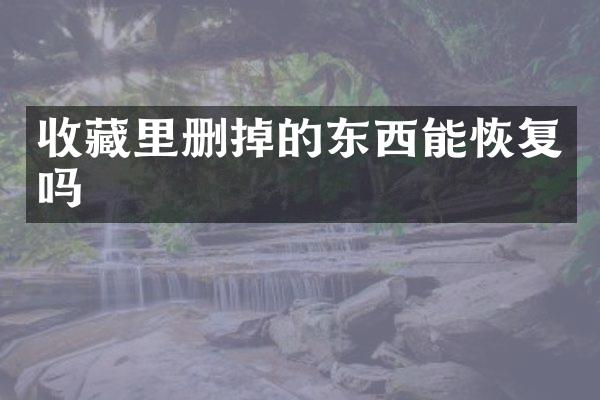 收藏里删掉的东西能恢复吗