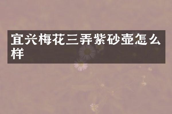 宜兴梅花三弄紫砂壶怎么样