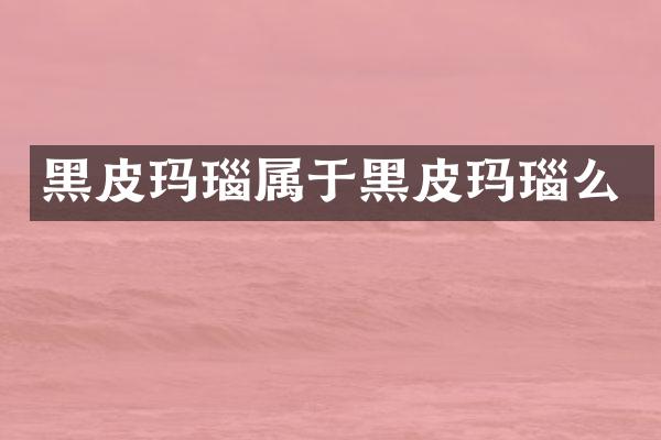 黑皮玛瑙属于黑皮玛瑙么