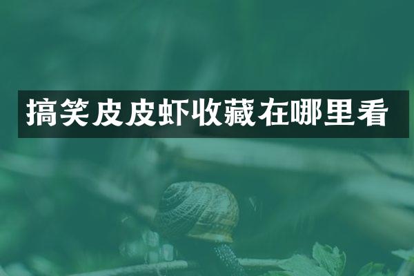 搞笑皮皮虾收藏在哪里看