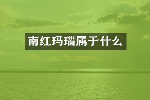 南红玛瑙属于什么