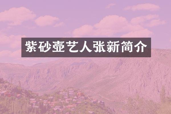 紫砂壶艺人张新简介