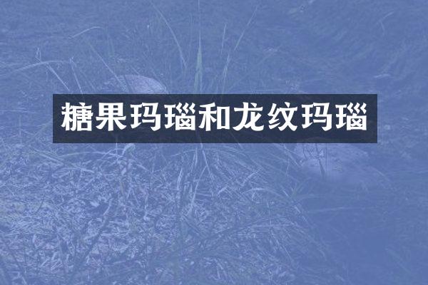 糖果玛瑙和龙纹玛瑙